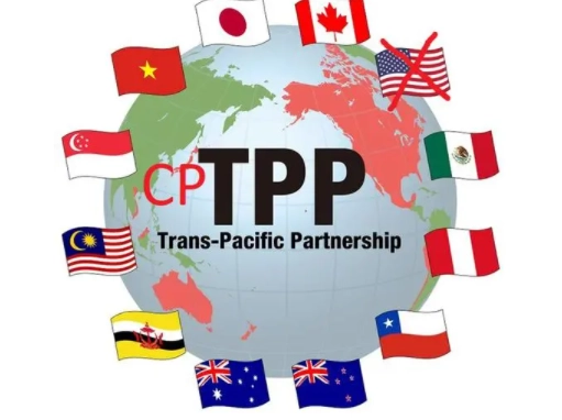 中国可能在自贸区和海南自贸港先行先试CPTPP